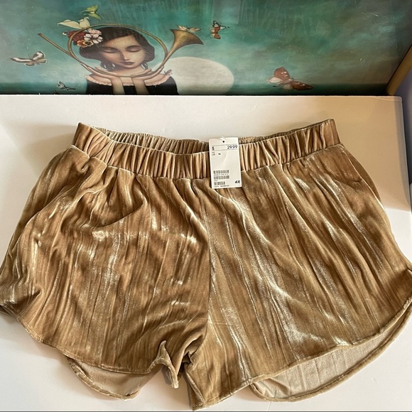 H&M Pants - SHORTS H&M Crushed Velvet Shorts NWT | size 14